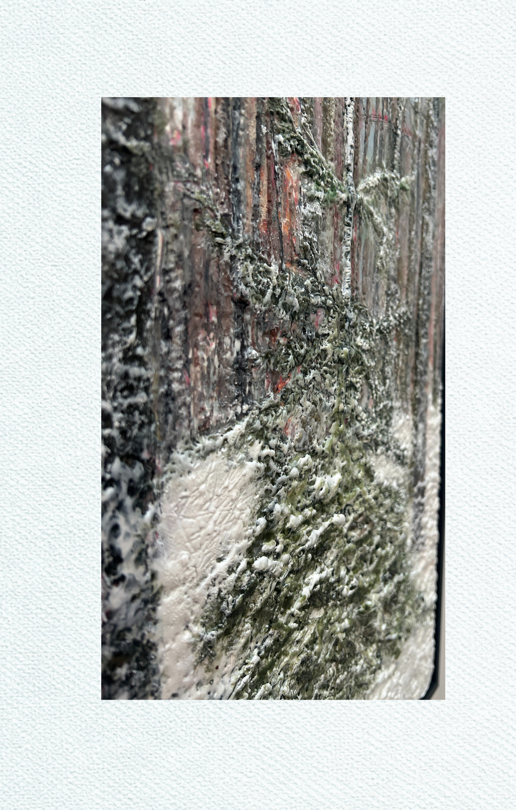 Forest in Snow