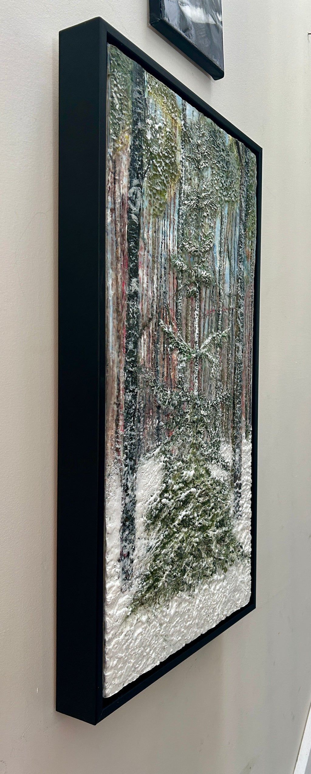 Forest in Snow